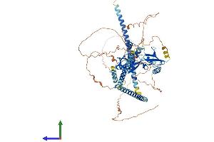 AlphaFold protein structure predicition of Human Recombinant SKIL Protein, UniprotID P12757