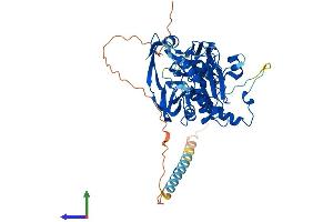 AlphaFold protein structure predicition of Human Recombinant B4GALNT2 Protein, UniprotID Q8NHY0