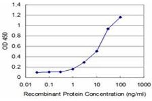 Detection limit for recombinant GST tagged SUPT5H is approximately 1ng/ml as a capture antibody.