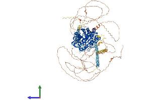AlphaFold protein structure predicition of Mouse Recombinant Hdac5 Protein, UniprotID Q9Z2V6