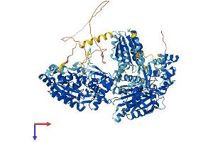 AlphaFold protein structure predicition of Mouse Recombinant Nos2 Protein, UniprotID P29477