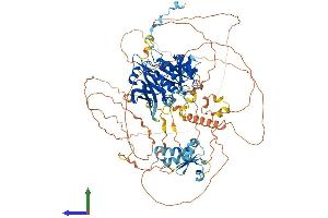 AlphaFold protein structure predicition of Mouse Recombinant Lpin2 Protein, UniprotID Q99PI5