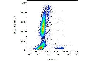 Surface staining of CD22 in human peripheral blood cells with anti-CD22 (IS7) PE. (CD22 anticorps  (PE))