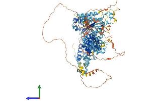AlphaFold protein structure predicition of Mouse Recombinant Atad2 Protein, UniprotID Q8CDM1