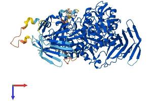AlphaFold protein structure predicition of Mouse Recombinant Ganc Protein, UniprotID Q8BVW0