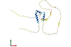 AlphaFold protein structure predicition of Human Recombinant FRAT2 Protein, UniprotID O75474