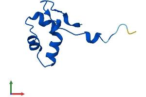 AlphaFold protein structure predicition of Human Recombinant POLR2L Protein, UniprotID P62875