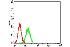 Flow cytometric analysis of K562 cells using CD195 mouse mAb (green) and negative control (red).
