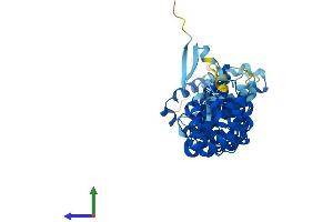 AlphaFold protein structure predicition of Mouse Recombinant Atxn10 Protein, UniprotID P28658