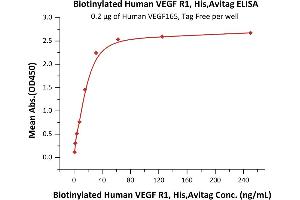 Immobilized Human VEGF165, Tag Free (ABIN2181903,ABIN2693608,ABIN3071747) at 2 μg/mL (100 μL/well) can bind Biotinylated Human VEGF R1, His,Avitag (ABIN5955009,ABIN6253629) with a linear range of 1-31 ng/mL (QC tested).