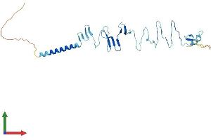 AlphaFold protein structure predicition of Human Recombinant SGCZ Protein, UniprotID Q96LD1