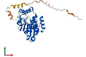 AlphaFold protein structure predicition of Human Recombinant YJEFN3 Protein, UniprotID A6XGL0