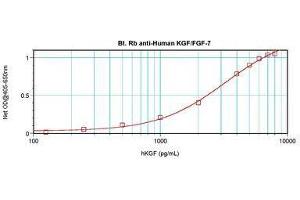Image no. 2 for anti-Fibroblast Growth Factor 7 (FGF7) antibody (Biotin) (ABIN464855) (FGF7 anticorps  (Biotin))