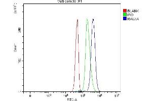 Flow Cytometry analysis of Jurkat cells using anti-RAB7/RAB7A antibody (ABIN7600597). (RAB7A anticorps  (AA 21-177))
