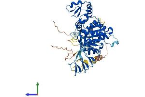 AlphaFold protein structure predicition of Human Recombinant ZCCHC4 Protein, UniprotID Q9H5U6