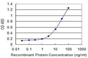 Detection limit for recombinant GST tagged ZP2 is 0.