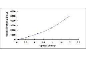 Interleukin 10 Receptor, alpha (IL10RA) ELISA Kit