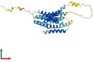 AlphaFold protein structure predicition of Human Recombinant SLC39A1 Protein, UniprotID Q9NY26