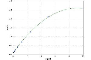 A typical standard curve (CSNK2B Kit ELISA)