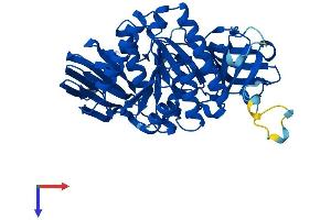 AlphaFold protein structure predicition of Mouse Recombinant Clp1 Protein, UniprotID Q99LI9