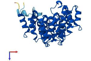 AlphaFold protein structure predicition of Human Recombinant DOHH Protein, UniprotID Q9BU89
