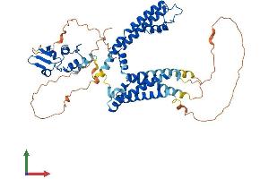 AlphaFold protein structure predicition of Human Recombinant KCNA6 Protein, UniprotID P17658