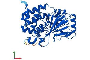 AlphaFold protein structure predicition of Mouse Recombinant Ppp6c Protein, UniprotID Q9CQR6