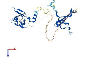 AlphaFold protein structure predicition of Human Recombinant PRKAB2 Protein, UniprotID O43741
