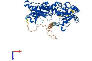 AlphaFold protein structure predicition of Human Recombinant FUT10 Protein, UniprotID Q6P4F1