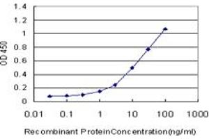 Detection limit for recombinant GST tagged OPHN1 is approximately 0.