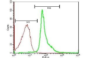 Mouse liver cells probed with Rabbit Anti-Glucocorticoid receptor Polyclonal Antibody  PE Conjugated Secondary Antibody.
