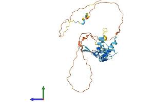 AlphaFold protein structure predicition of Mouse Recombinant Spry4 Protein, UniprotID Q9WTP2