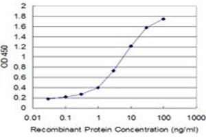 Detection limit for recombinant GST tagged SMAD7 is approximately 0.