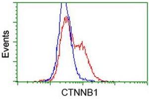 Image no. 3 for anti-Catenin (Cadherin-Associated Protein), beta 1, 88kDa (CTNNB1) antibody (ABIN1496895) (CTNNB1 anticorps)