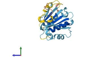 AlphaFold protein structure predicition of Mouse Recombinant Eif4e3 Protein, UniprotID Q9DBB5
