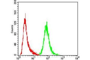 Flow cytometric analysis of Hela cells using ANXA5 mouse mAb (green) and negative control (red).