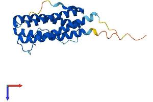 Ciliary Neurotrophic Factor (CNTF) (AA 1-198) protein (His tag)