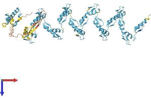 AlphaFold protein structure predicition of Human Recombinant ZNF573 Protein, UniprotID Q86YE8