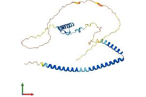AlphaFold protein structure predicition of Human Recombinant HEXIM2 Protein, UniprotID Q96MH2