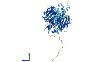 AlphaFold protein structure predicition of Human Recombinant RCBTB2 Protein, UniprotID O95199