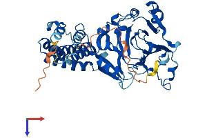 AlphaFold protein structure predicition of Mouse Recombinant Kdm8 Protein, UniprotID Q9CXT6