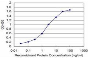 Detection limit for recombinant GST tagged TAOK3 is approximately 0. (TAO Kinase 3 anticorps  (AA 809-898))