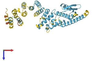 AlphaFold protein structure predicition of Human Recombinant PSMD13 Protein, UniprotID Q9UNM6