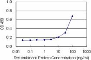 Sandwich ELISA detection sensitivity ranging from 10 ng/mL to 100 ng/mL.