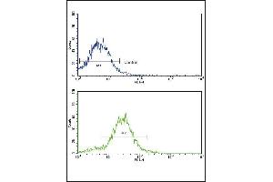 Flow cytometric analysis of HepG2 cells using BR2 Antibody (N-term)(bottom histogram) coared to a negative control cell (top histogram).