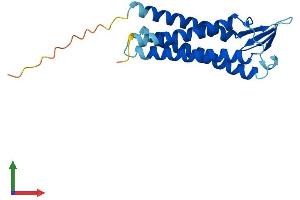 AlphaFold protein structure predicition of Human Recombinant TMEM37 Protein, UniprotID Q8WXS4