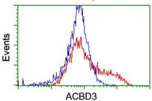 Flow Cytometry (FACS) image for anti-Acyl-CoA Binding Domain Containing 3 (Acbd3) antibody (ABIN1498415)