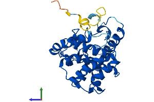 AlphaFold protein structure predicition of Mouse Recombinant Miox Protein, UniprotID Q9QXN5