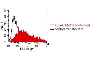 FACS analysis of BOSC23 cells using 4/3/17. (CEACAM1/5 anticorps)
