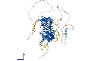 AlphaFold protein structure predicition of Human Recombinant STARD13 Protein, UniprotID Q9Y3M8